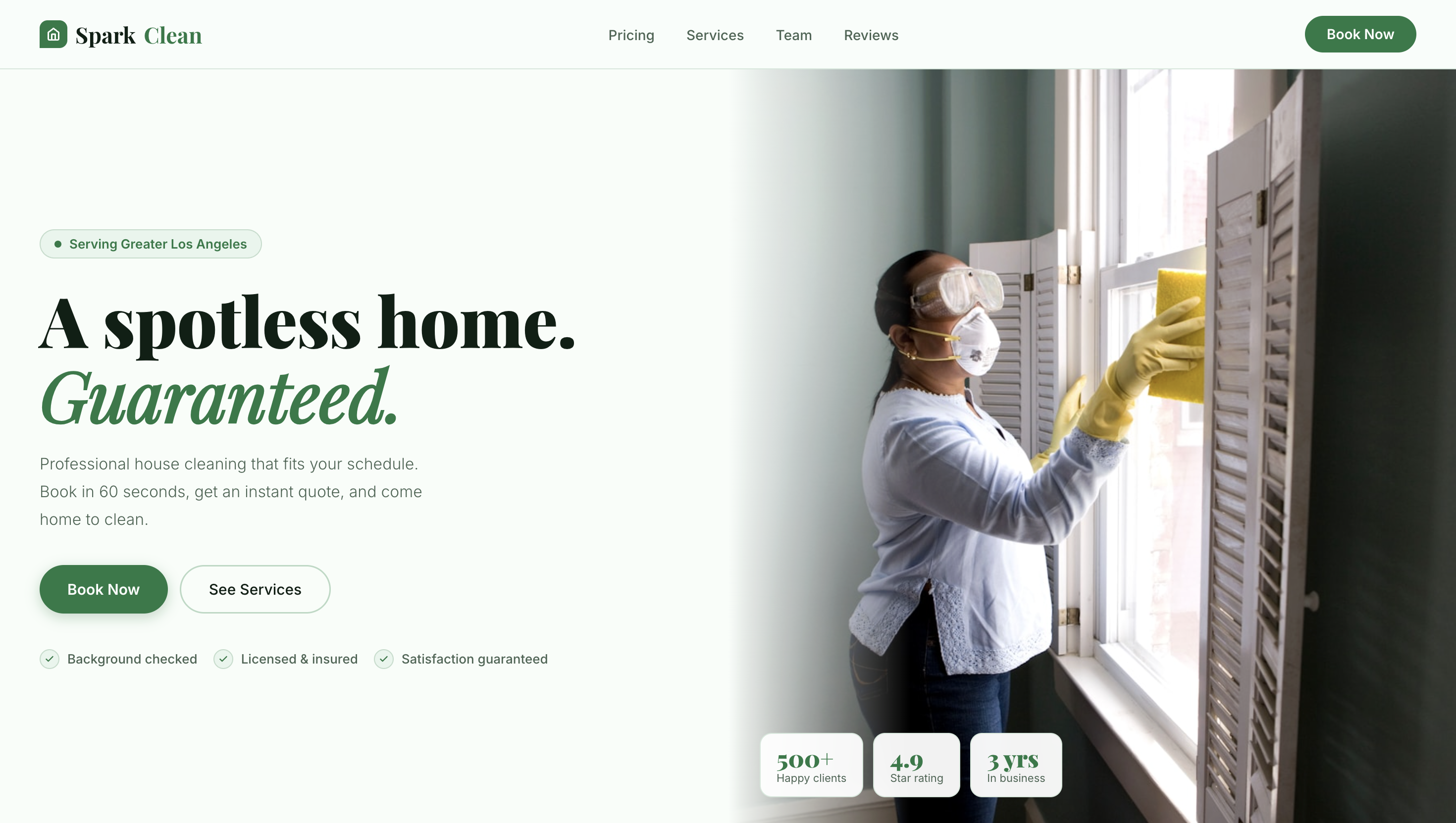 SparkClean